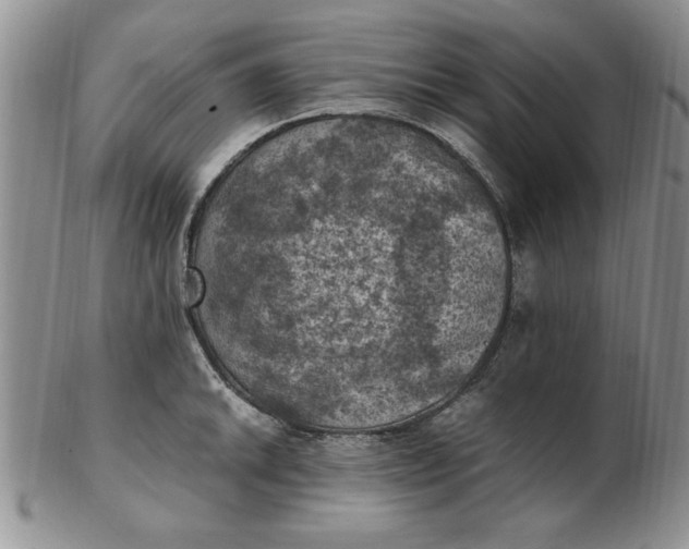 X0000103141046200809051610