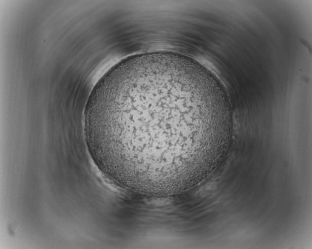 X0000103141047200809051610