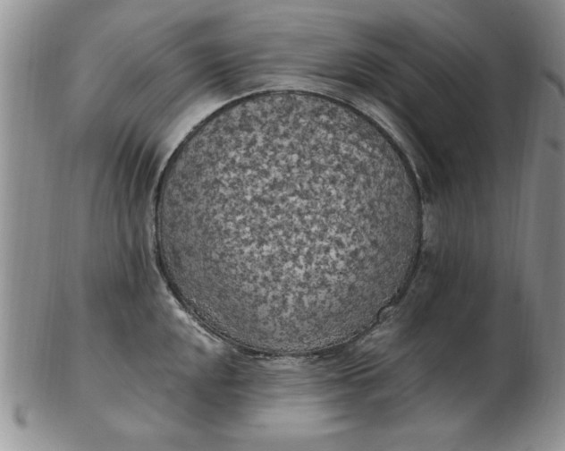 X0000103141048200809051610