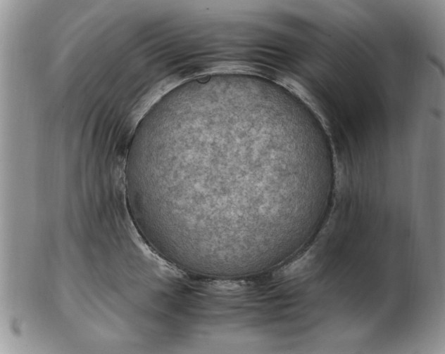 X0000103141049200809051610