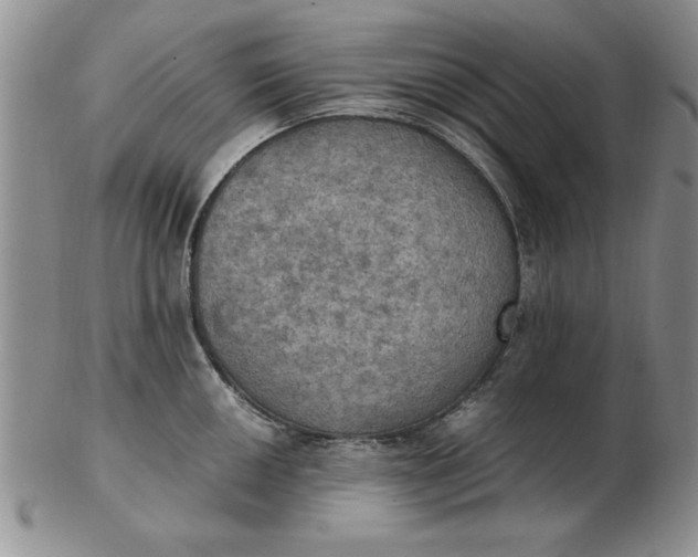 X0000103141050200809051610