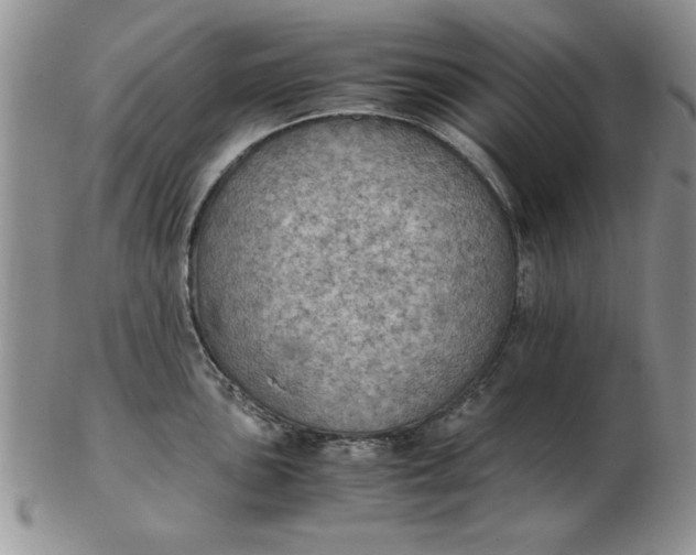 X0000103141051200809051610