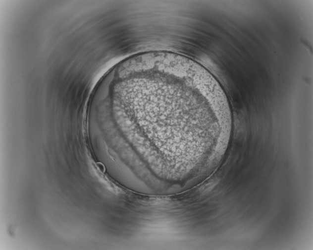 X0000103141052200809051610