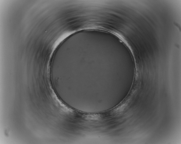 X0000103141053200809051610