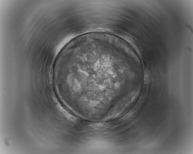 X0000103141054200809051610