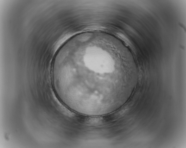 X0000103141055200809051610