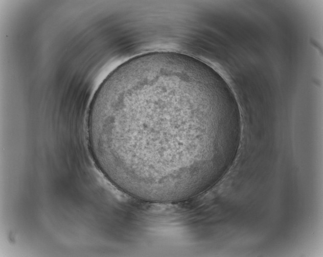 X0000103141056200809051610