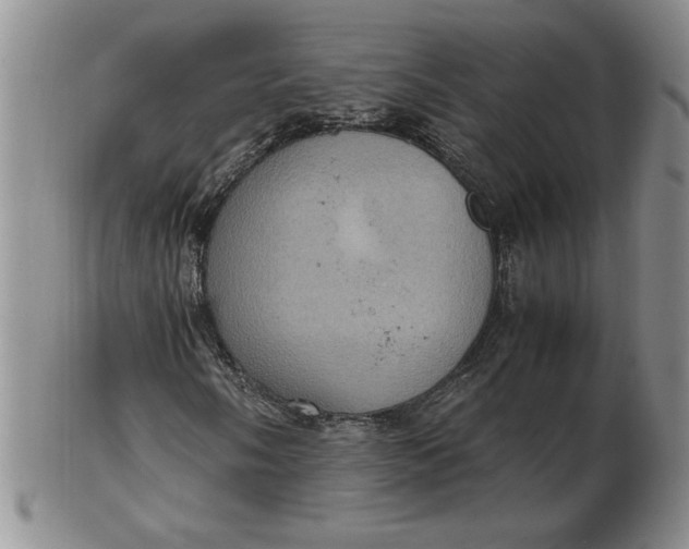 X0000103141058200809051609