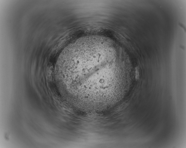 X0000103141059200809051609