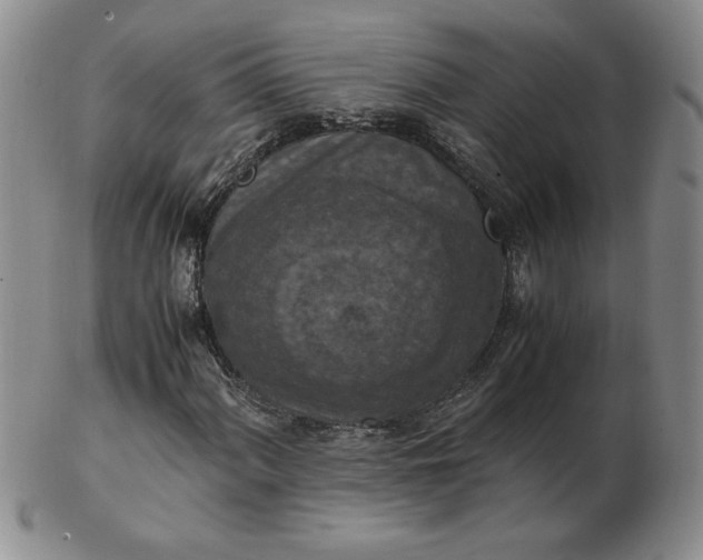 X0000103141060200809051609