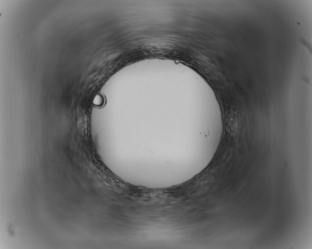 X0000103141061200809051609