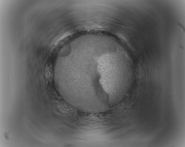 X0000103141063200809051609