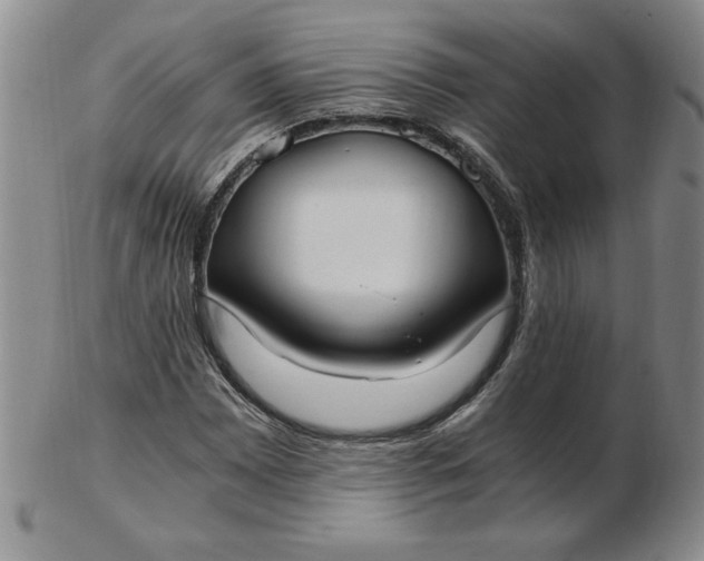 X0000103141065200809051609