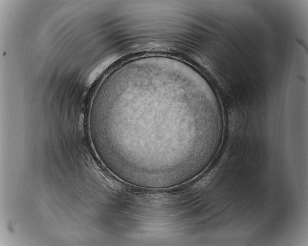 X0000103141066200809051609