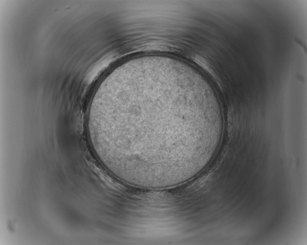 X0000103141067200809051609