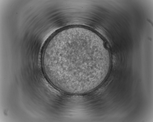 X0000103141068200809051609