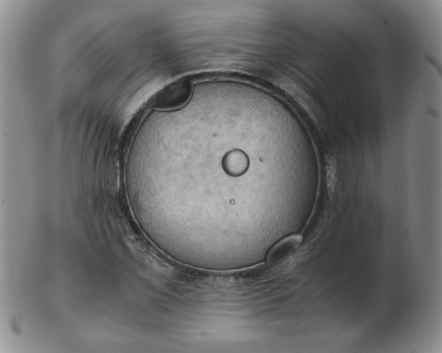 X0000103141069200809051609