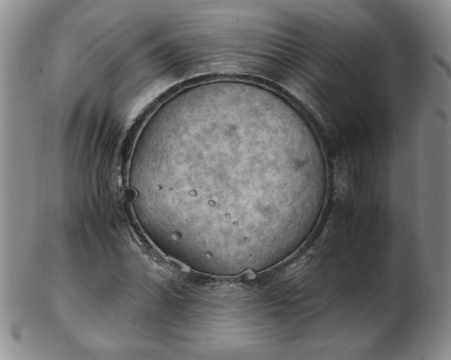 X0000103141070200809051609