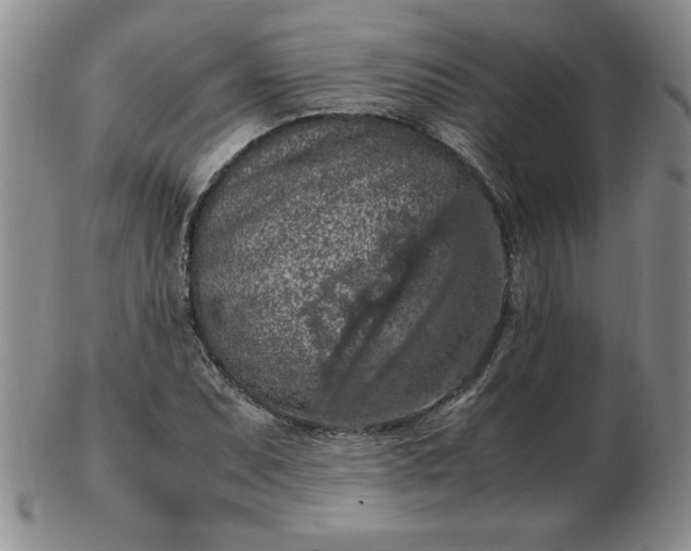 X0000103141071200809051609