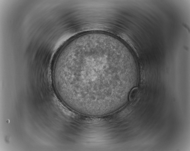 X0000103141072200809051609