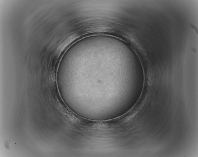 X0000103141073200809051609