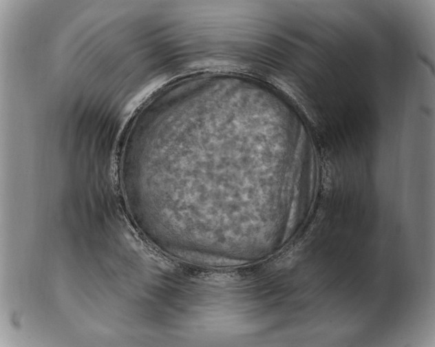 X0000103141074200809051609