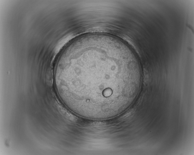 X0000103141075200809051609