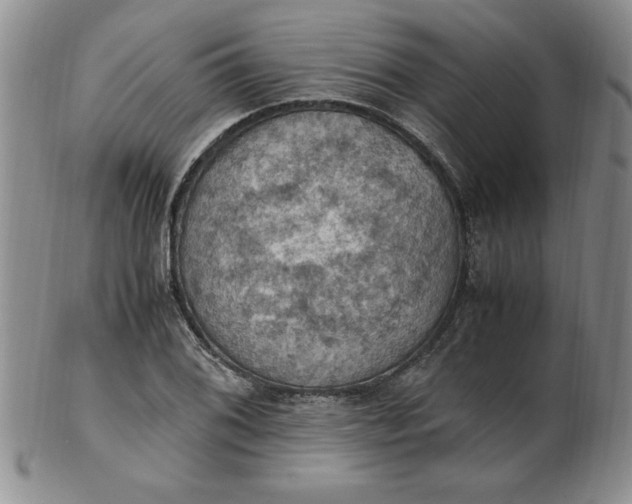 X0000103141076200809051609