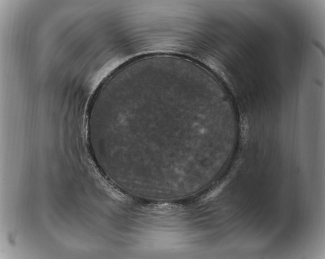 X0000103141077200809051609