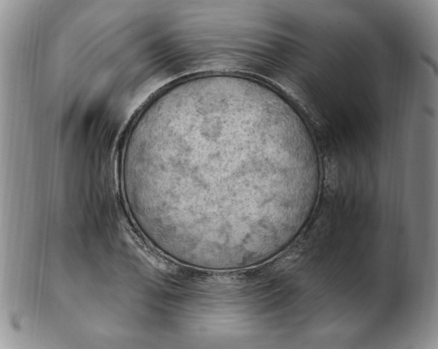 X0000103141078200809051609