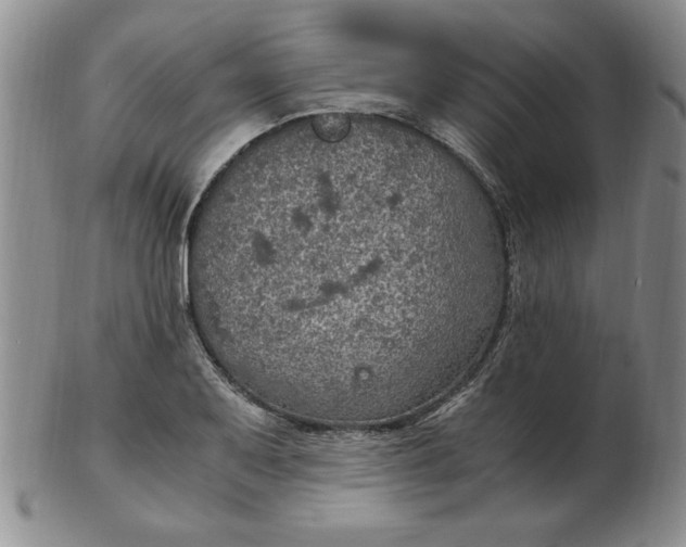 X0000103141079200809051609