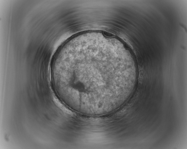 X0000103141080200809051609