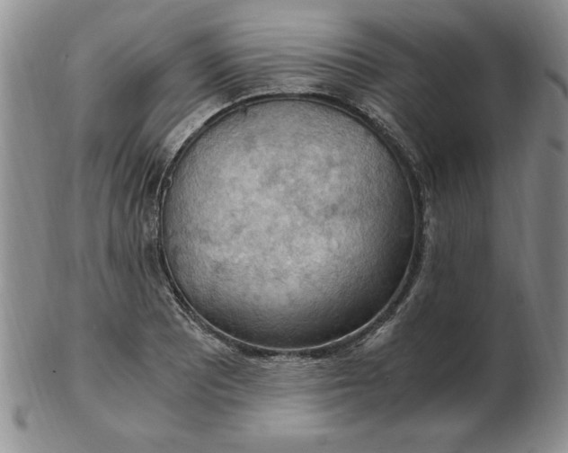 X0000103141081200809051609