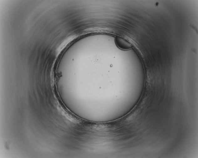 X0000103141082200809051609