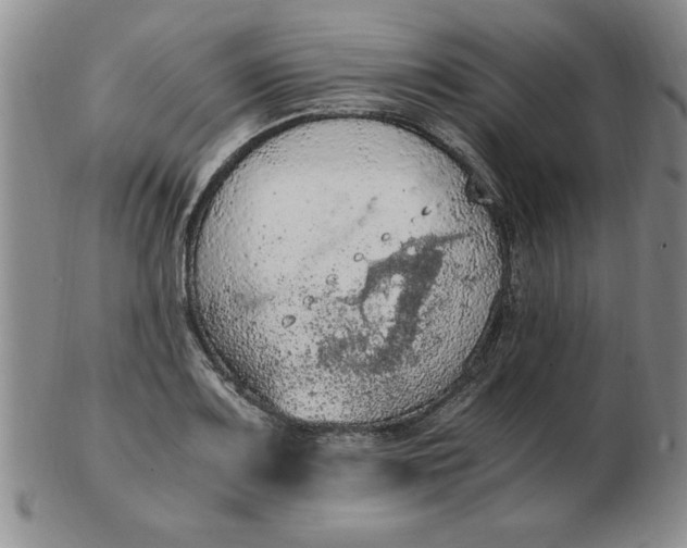 X0000103141083200809051609