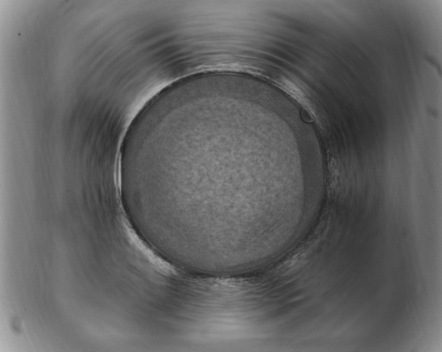 X0000103141084200809051609