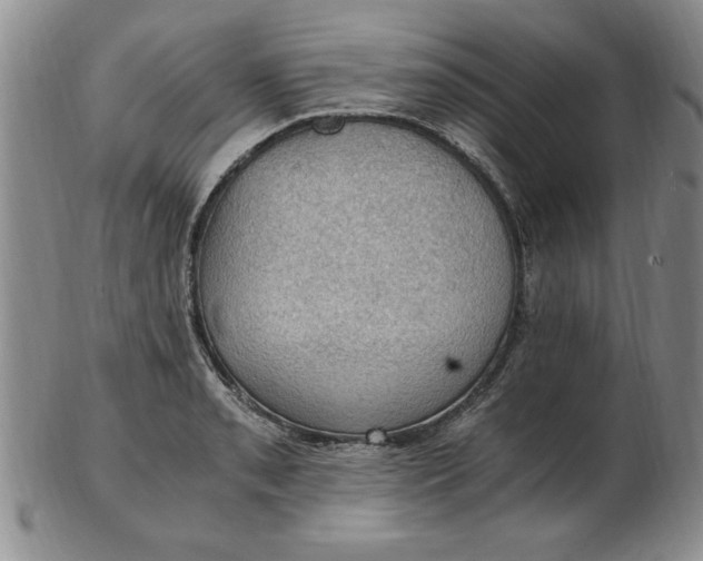 X0000103141085200809051609