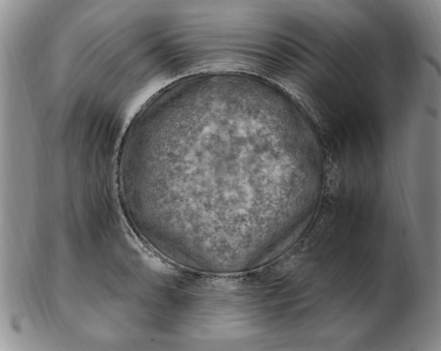 X0000103141086200809051609