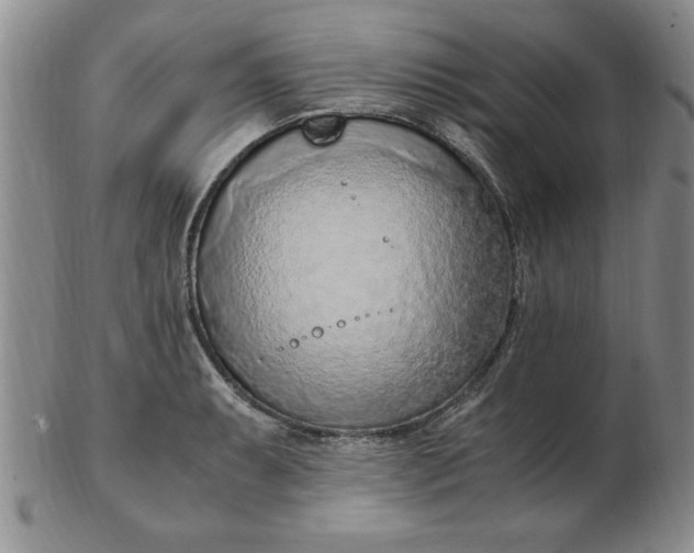 X0000103141087200809051609