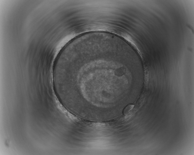 X0000103141088200809051609