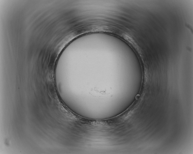 X0000103141089200809051609