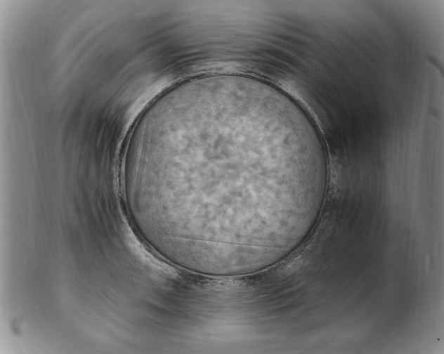 X0000103141090200809051609