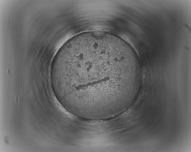 X0000103141091200809051609