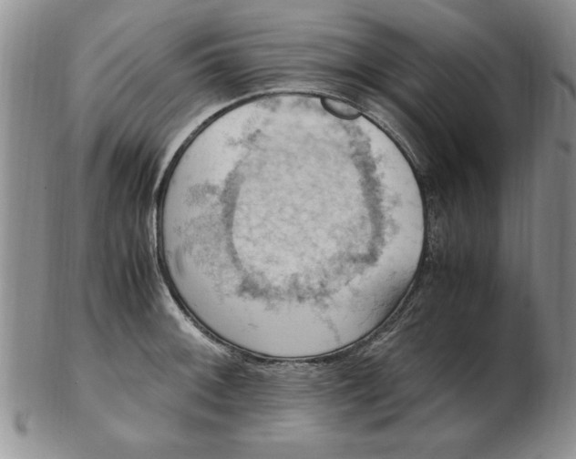 X0000103141092200809051609