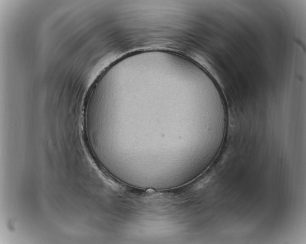 X0000103141093200809051609