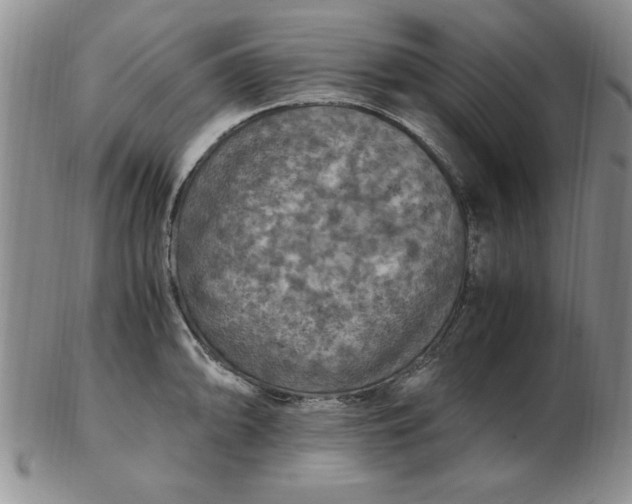 X0000103141094200809051609