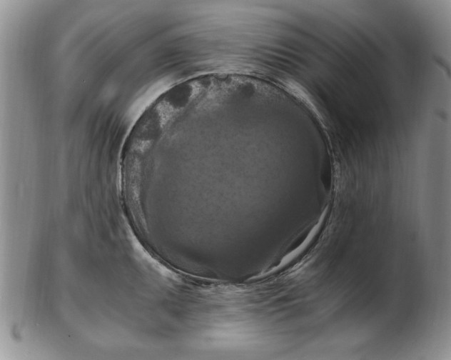 X0000103141095200809051609