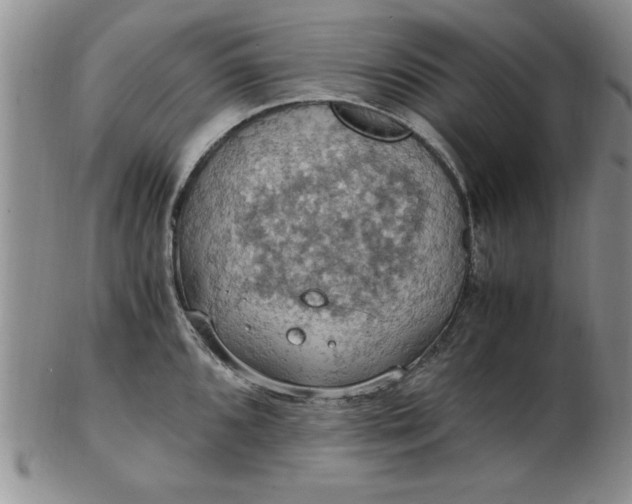 X0000103141096200809051609