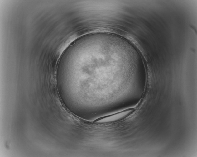 X0000103141097200809051609