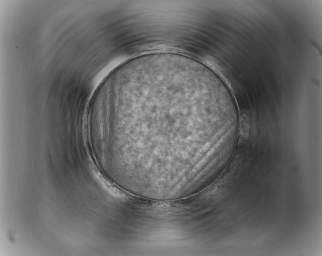 X0000103141098200809051609